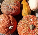 image of texture
