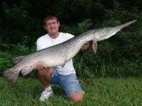 image of gar