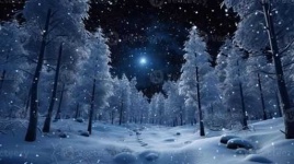 image of snowy