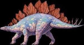 image of stegosaurus