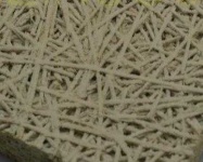 image of texture
