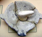 image of mortar