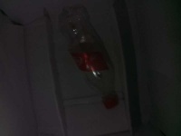 image of bottle_50cl