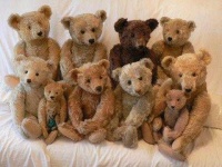 image of teddy_bear