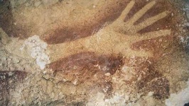 image of human_body_parts