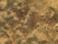 image of texture