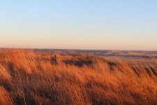image of prairie
