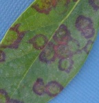 image of texture