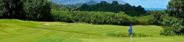 image of golf_club