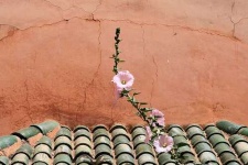 image of tile_roof