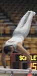 image of parallel_bars