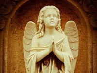 image of angel