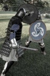 image of shield