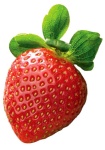 image of strawberry #18