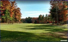 image of golf_club