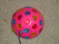 image of mouse