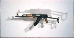 image of gun