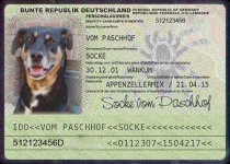 image of appenzeller