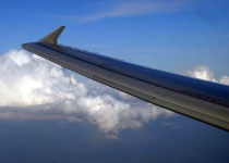 image of wing