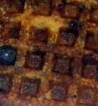 image of texture