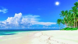 image of sunny