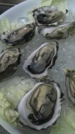 image of food