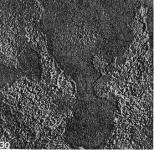 image of texture