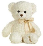 image of teddy_bear