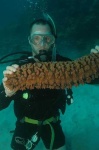 image of sea_cucumber