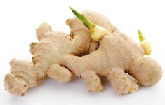 image of ginger #7