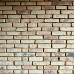 image of moss_covered_brick