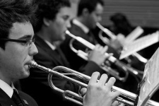 image of cornet