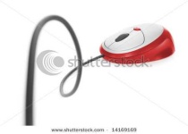 image of mouse