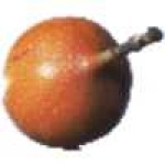image of fruit #4