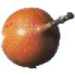image of fruit