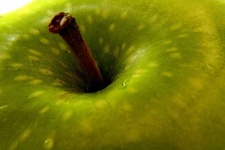 image of granny_smith