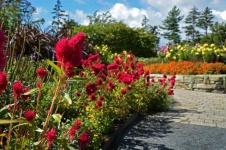 image of garden