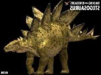 image of stegosaurus