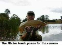 image of tench