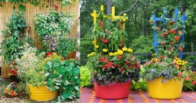 image of garden