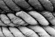 image of texture