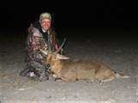 image of hartebeest