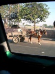 image of horse_cart #4