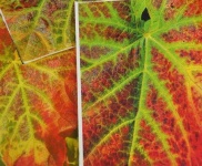 image of texture