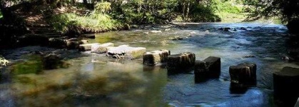 image of river