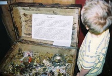 image of chest