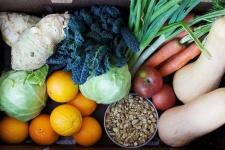 image of butternut_squash