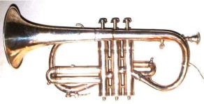 image of cornet