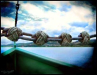 image of knot
