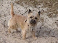 image of cairn